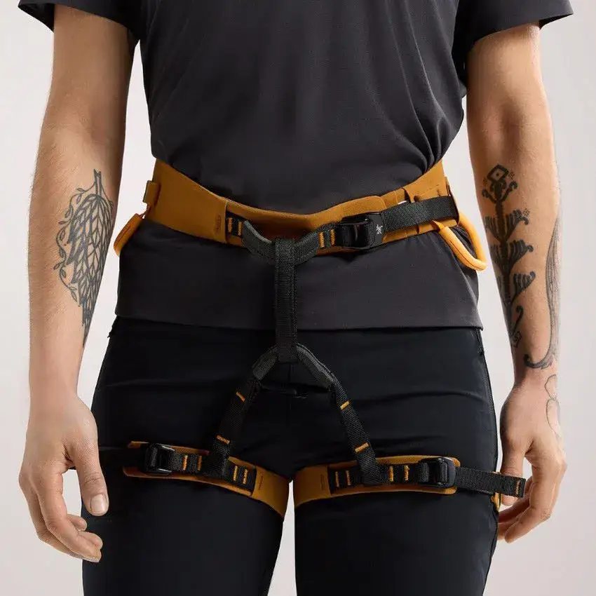 Arcteryx AR-385a Womens Climbing Harness - Yukon/Amaranthus - Image 3