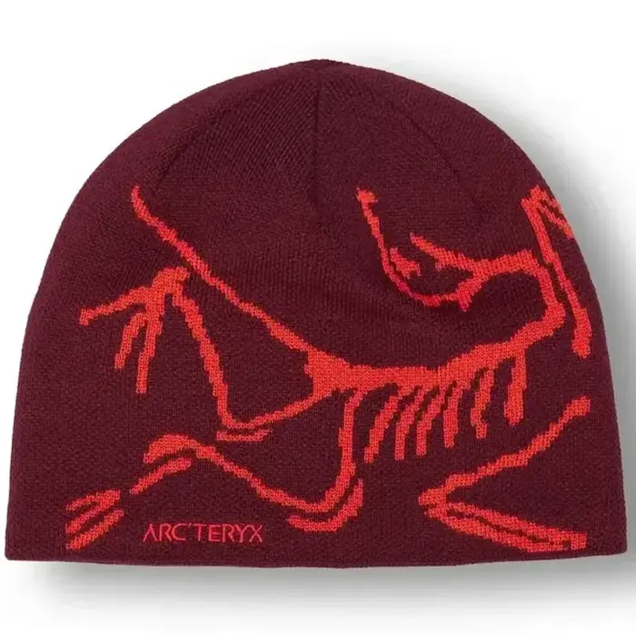 Arcteryx Bird Head Toque - Image 2