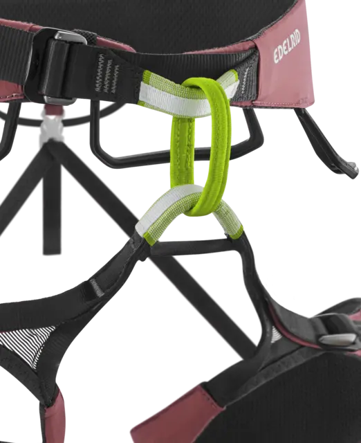 Edelrid Autana Climbing Harness - Raspberry - Image 4