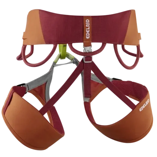 Edelrid Jay IV Climbing Harness - Hokkaido - Image 2